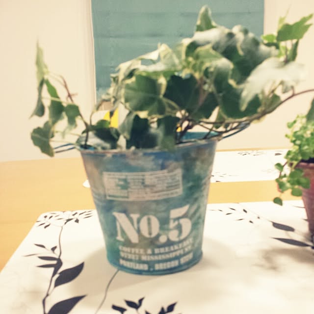 seiさんの実例写真