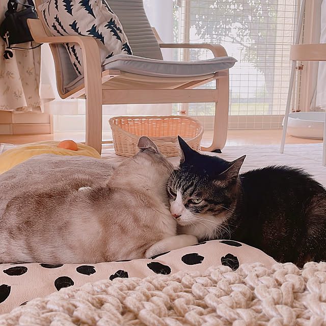 milkcocoaさんの実例写真