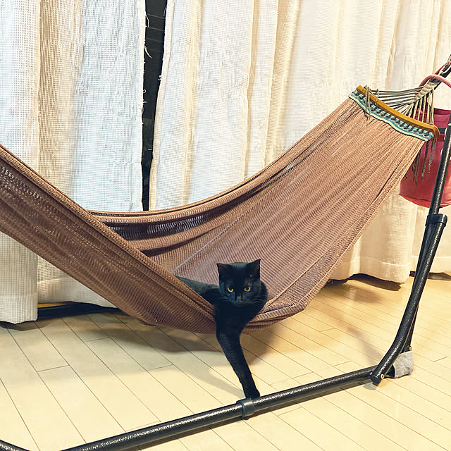 suemonta14さんの実例写真