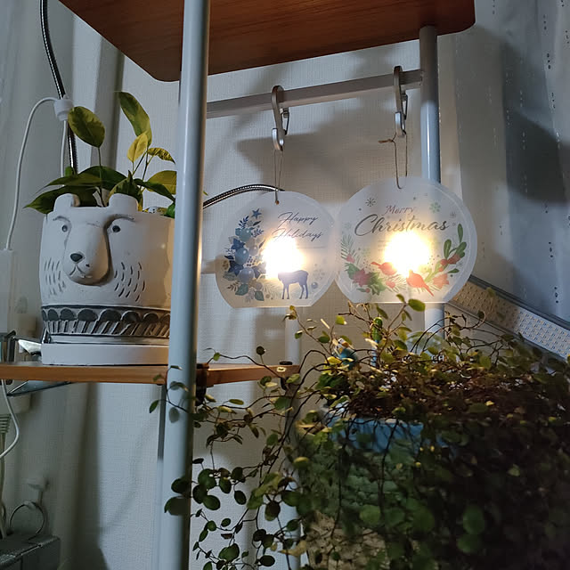 marosukeさんの実例写真