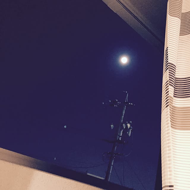 small-erikoさんの実例写真