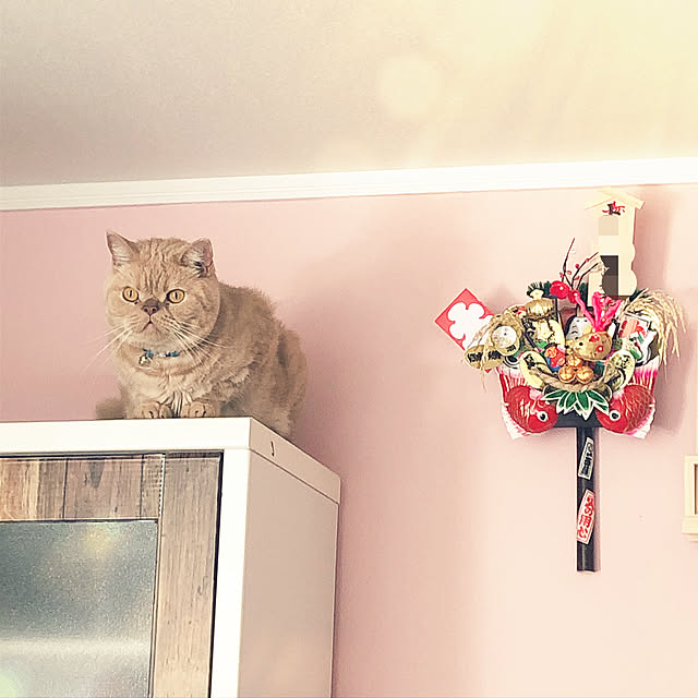 cocoさんの実例写真