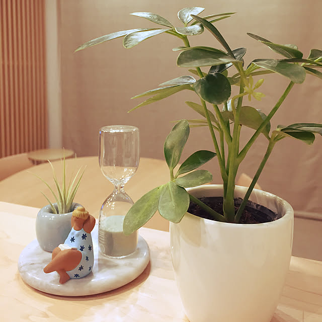 kilala_pさんの実例写真