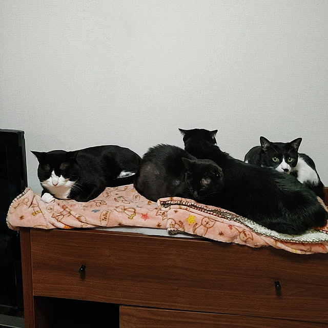 kirakirahikaruさんの実例写真