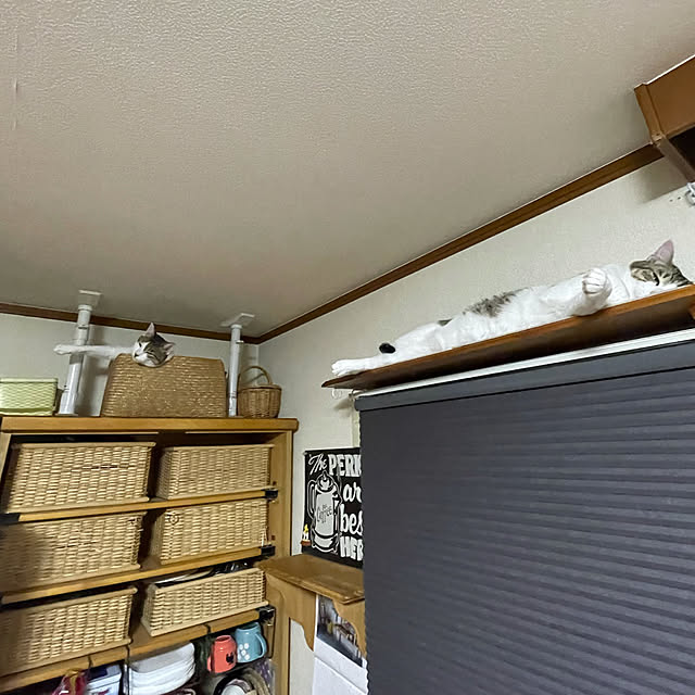 Lufuさんの実例写真