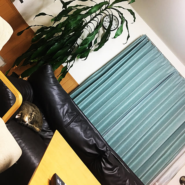 yumehanaさんの実例写真