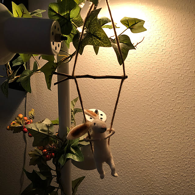 torroさんの実例写真