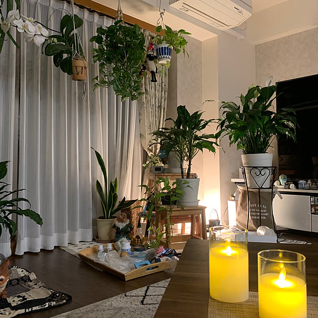 Aqettyさんの部屋