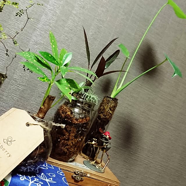 s.p.sunaoさんの実例写真