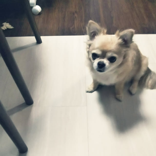 kiraさんの実例写真