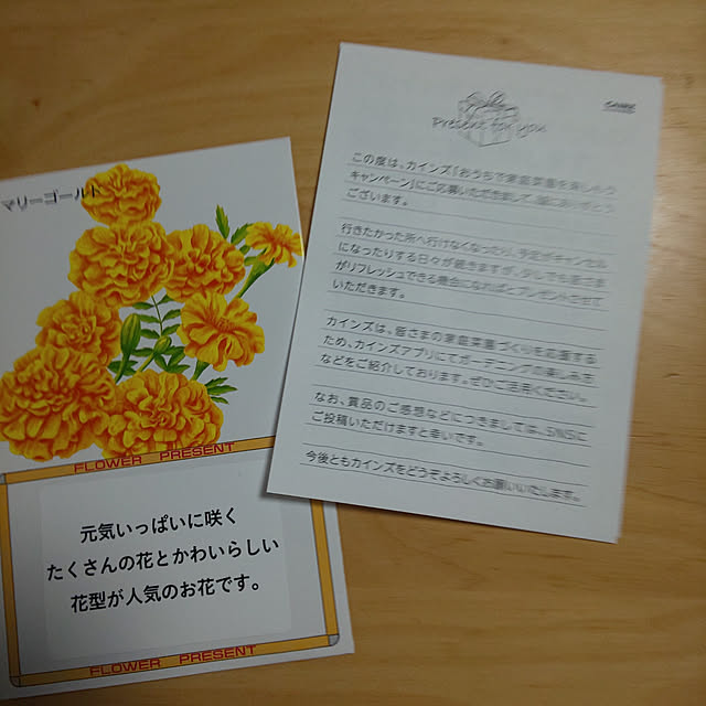 feayukiさんの実例写真