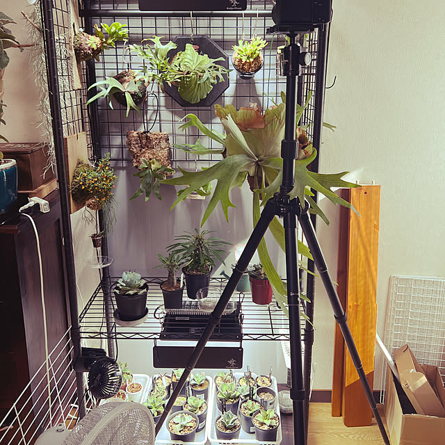 HALさんの実例写真