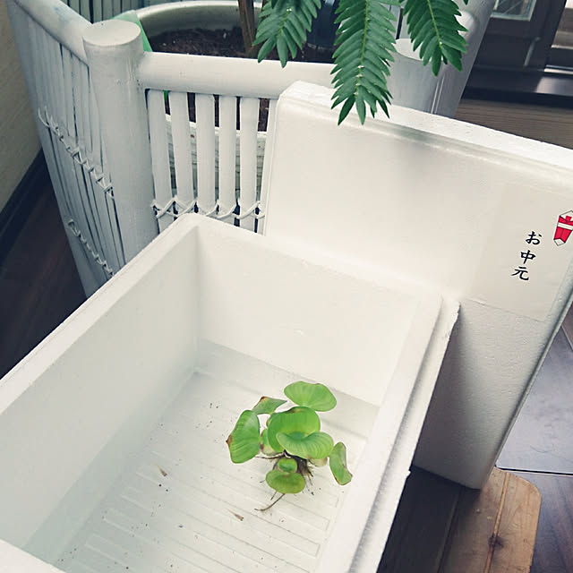 cocosorasakuさんの実例写真