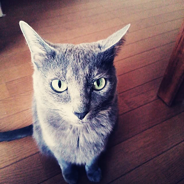 tomo1220さんの実例写真