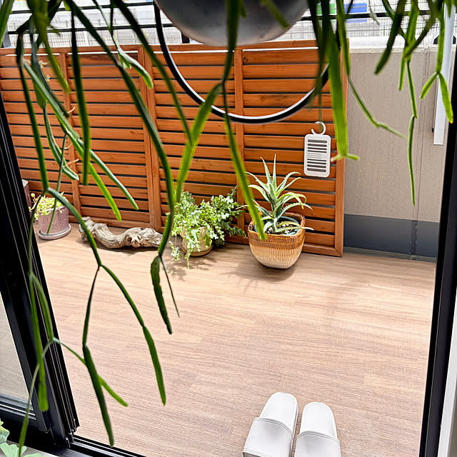 kiki__husさんの部屋