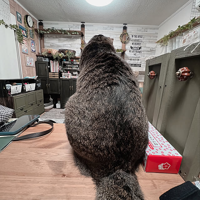 sumoanzuさんの実例写真