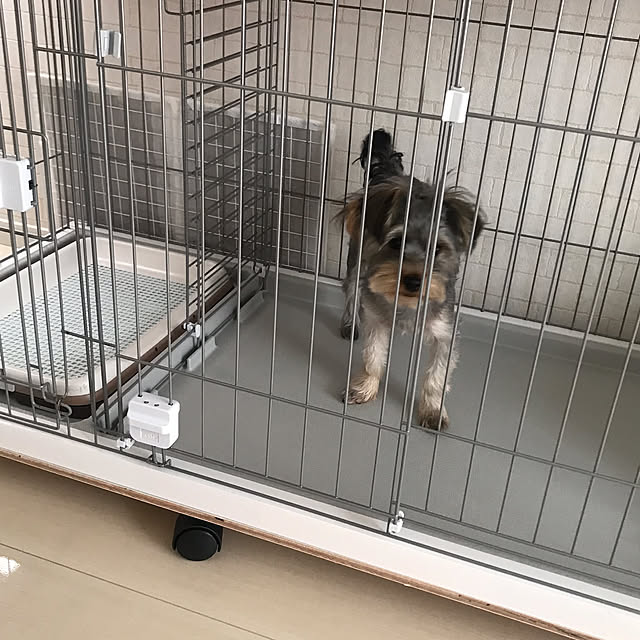 msさんの部屋