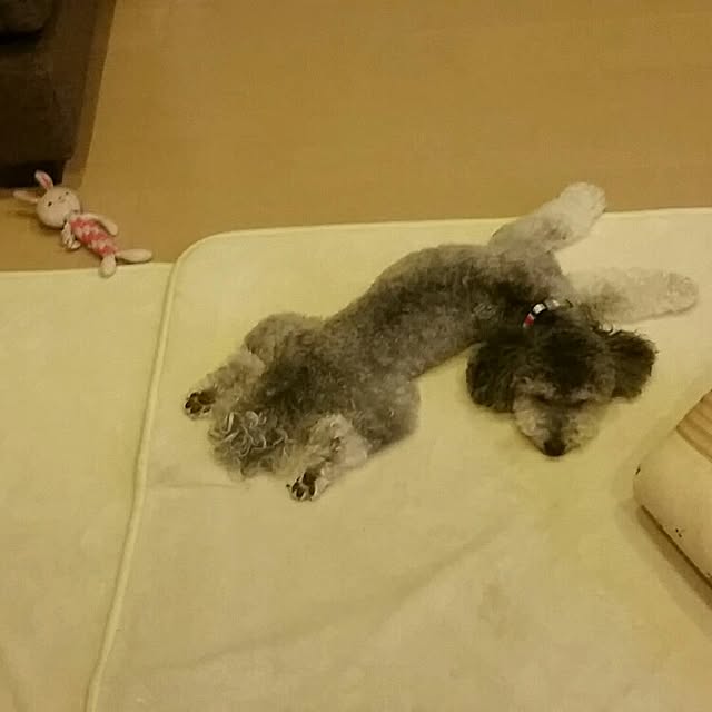 comasさんの実例写真