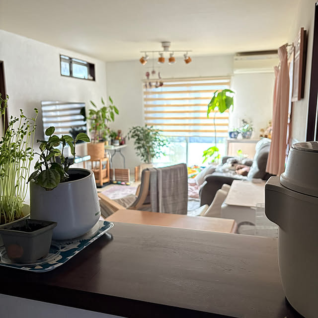 alchoさんの実例写真