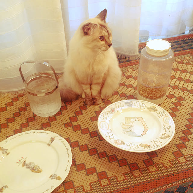 marrymisuzuさんの実例写真