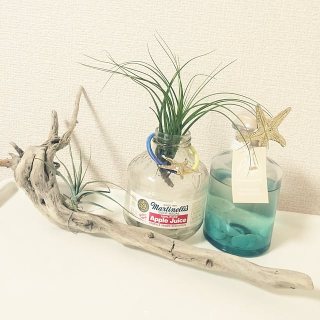 h317yさんの実例写真