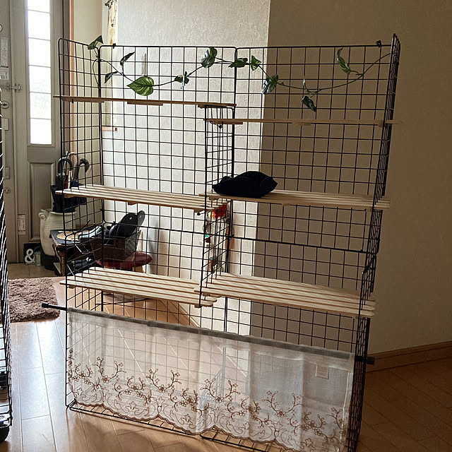 yuzuさんの部屋