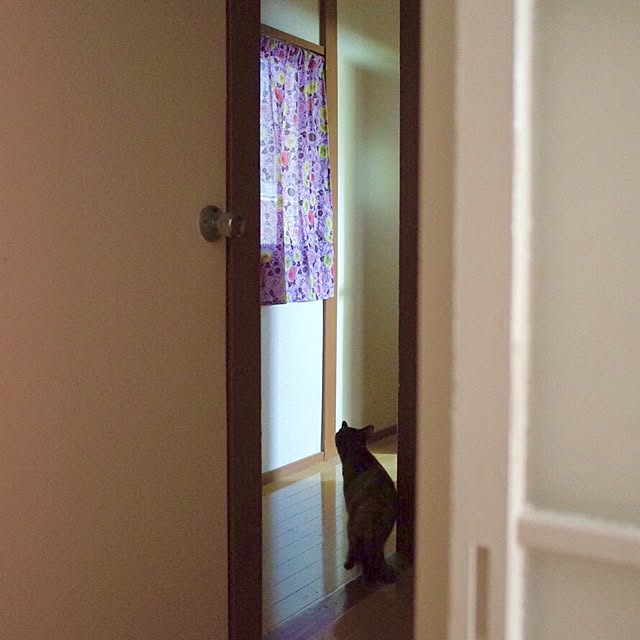hilaさんの実例写真