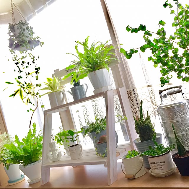 yrisさんの部屋