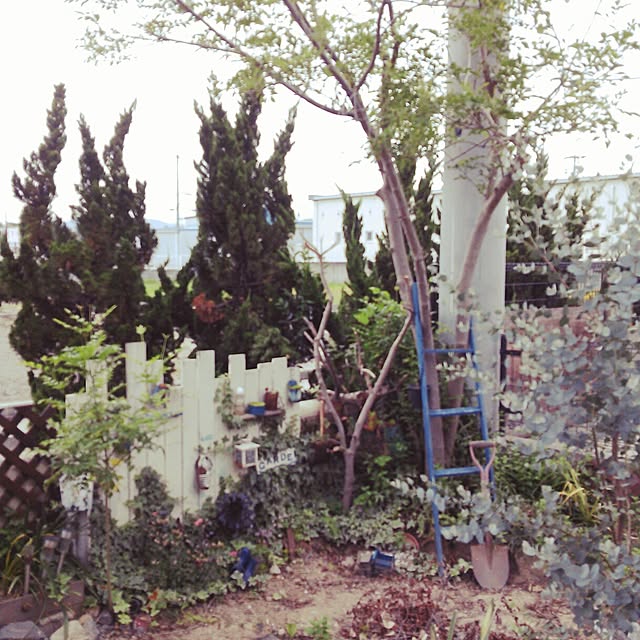 riverbedさんの実例写真