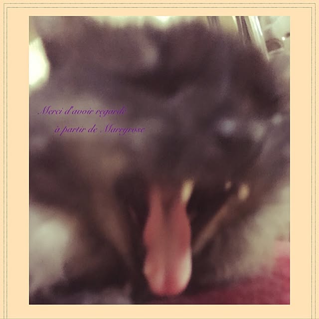 maria.rさんの実例写真