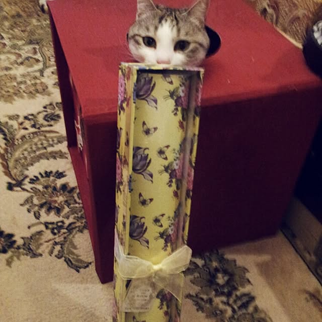 emmyyさんの実例写真