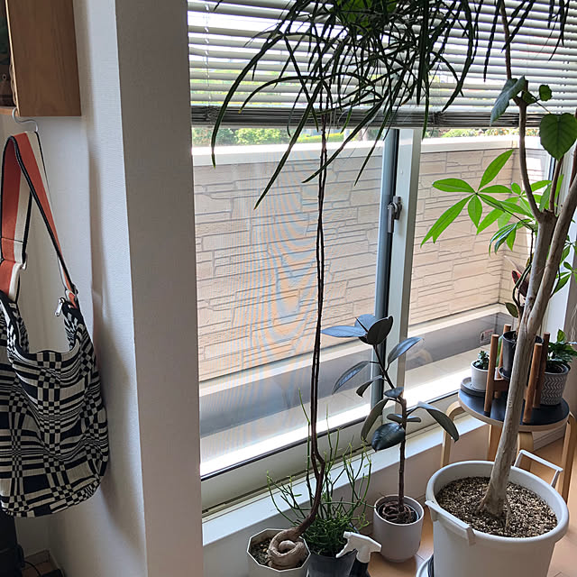 eriさんの部屋