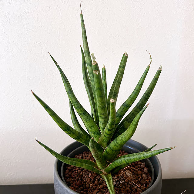 mako2yaさんの部屋