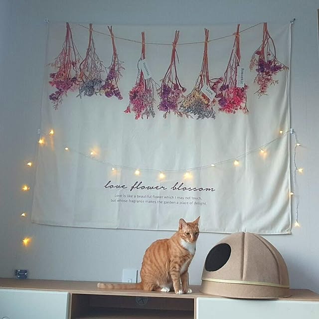 sunnyさんの実例写真