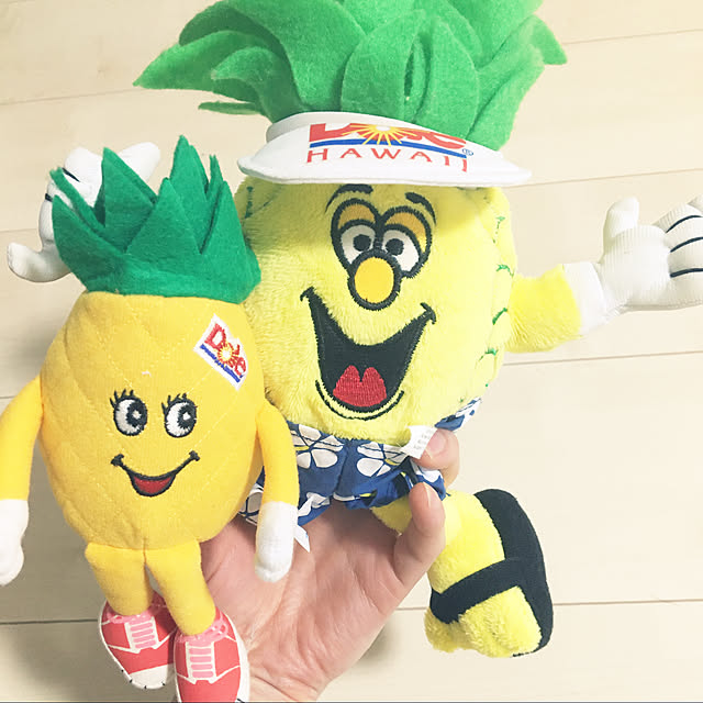 aokoさんの実例写真