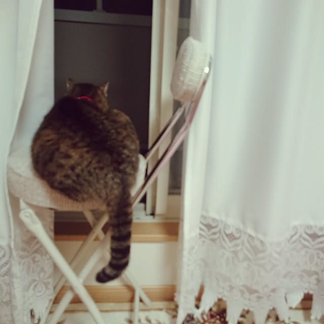 lilyさんの実例写真