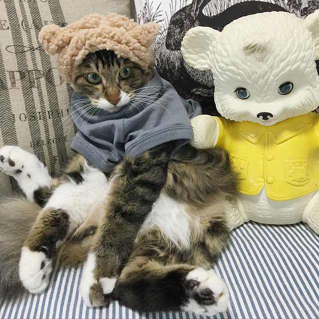yuchiさんの実例写真