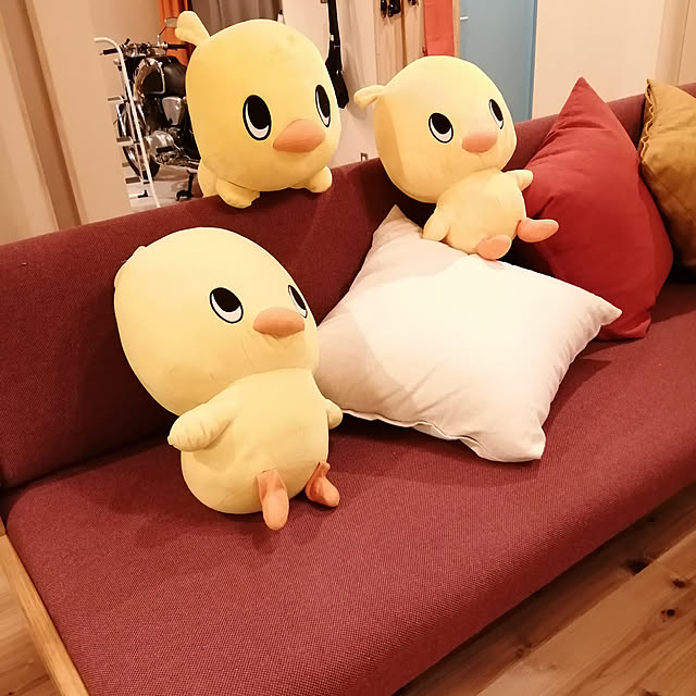 hiyocoさんの実例写真