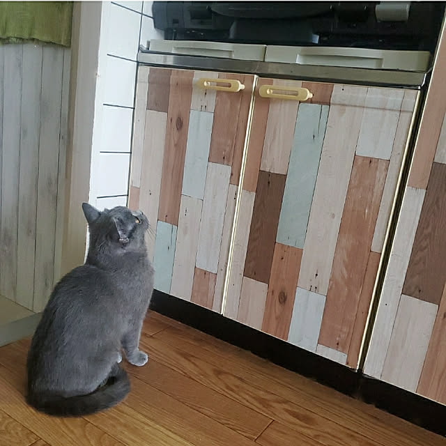 masSimonさんの実例写真