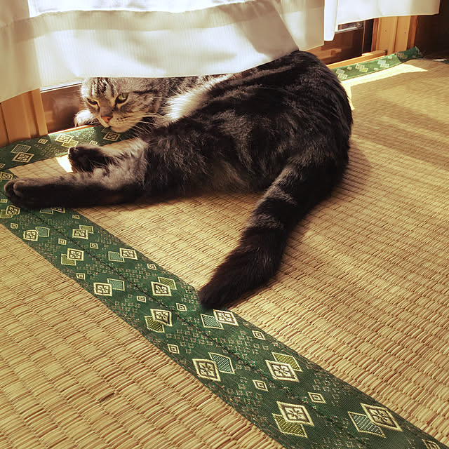 richanさんの実例写真