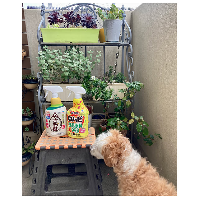 marukoさんの実例写真