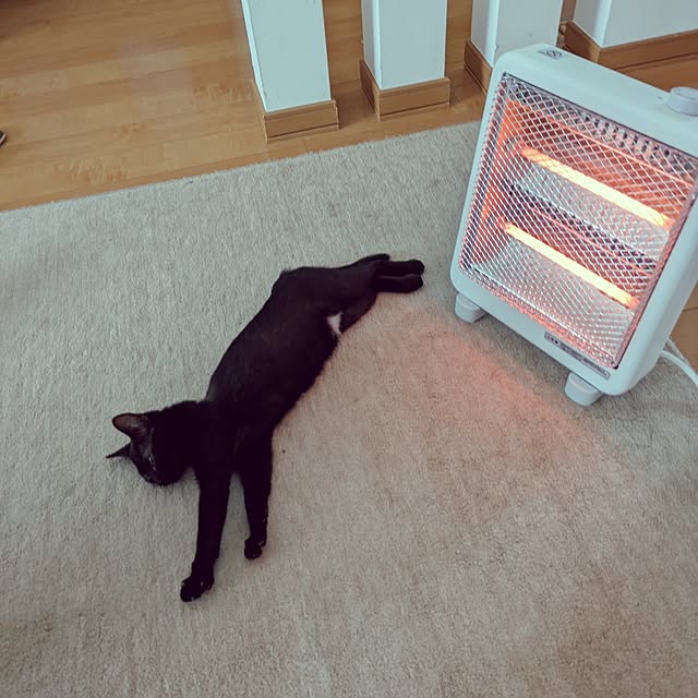 MyuRuuさんの実例写真