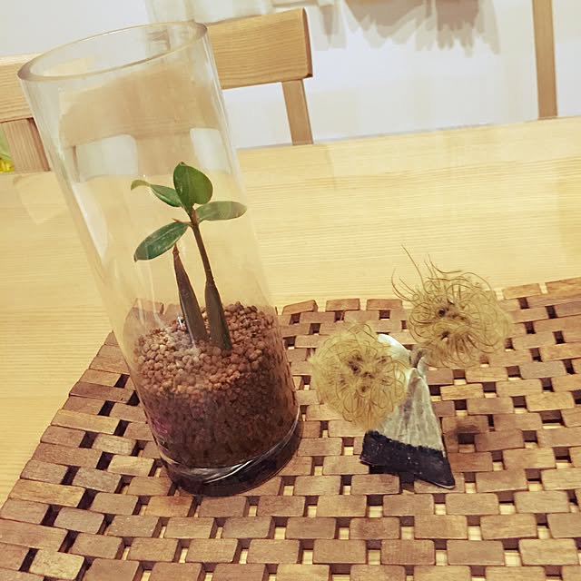 yoriさんの実例写真