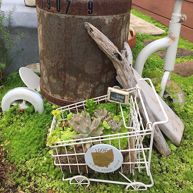 31さんの実例写真