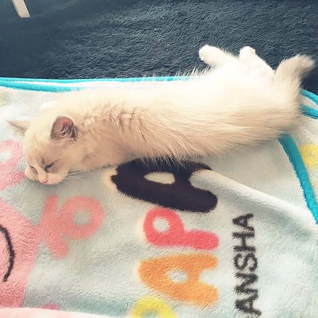 rbesfさんの実例写真