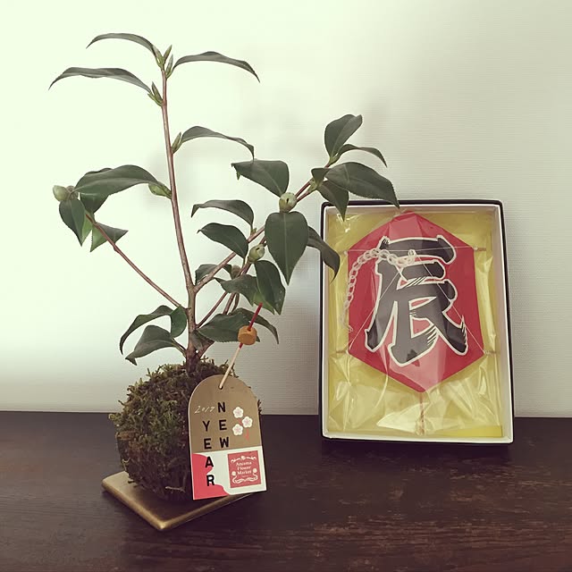 Noricoさんの実例写真