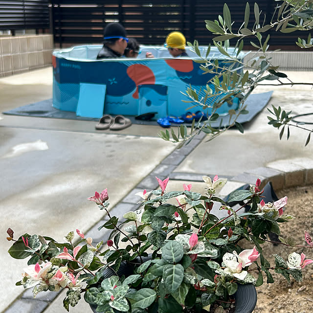 miffy.0044さんの実例写真