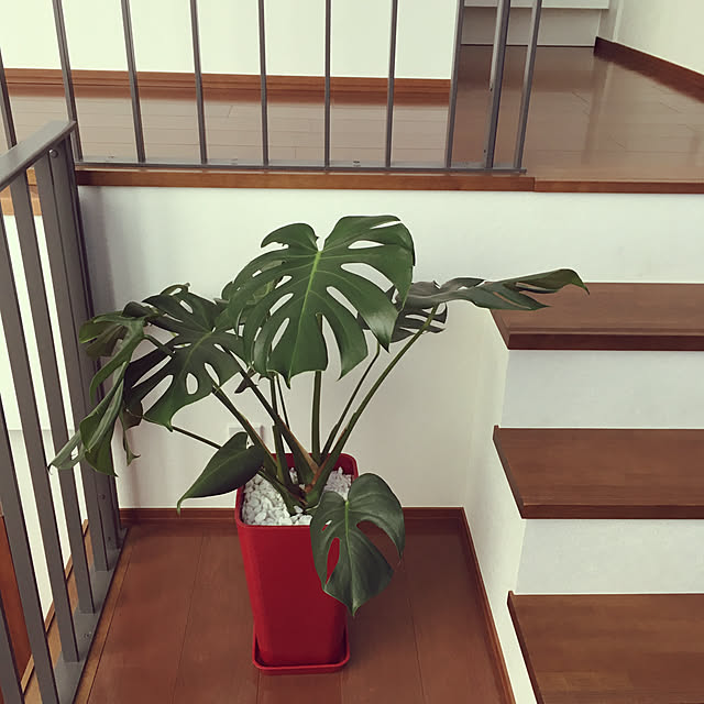 lllnklllさんの実例写真