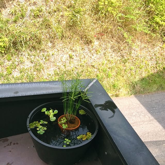 L.さんの実例写真