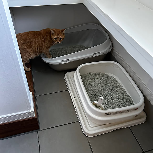 mikeume7さんの部屋